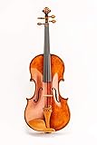 D Z Strad Viola Model N2011 with D Z Strad