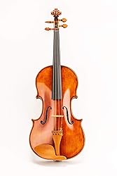 D Z Strad Viola Model N2011 with D Z Strad