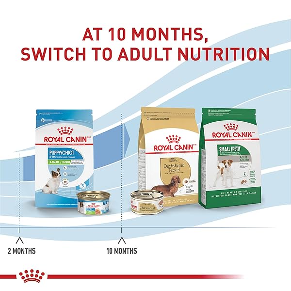 ROYAL CANIN SIZE HEALTH NUTRITION X-SMALL PUPPY THIN SLICES IN GRAVY DOG FOOD, 3 OZ (PACK OF 12)