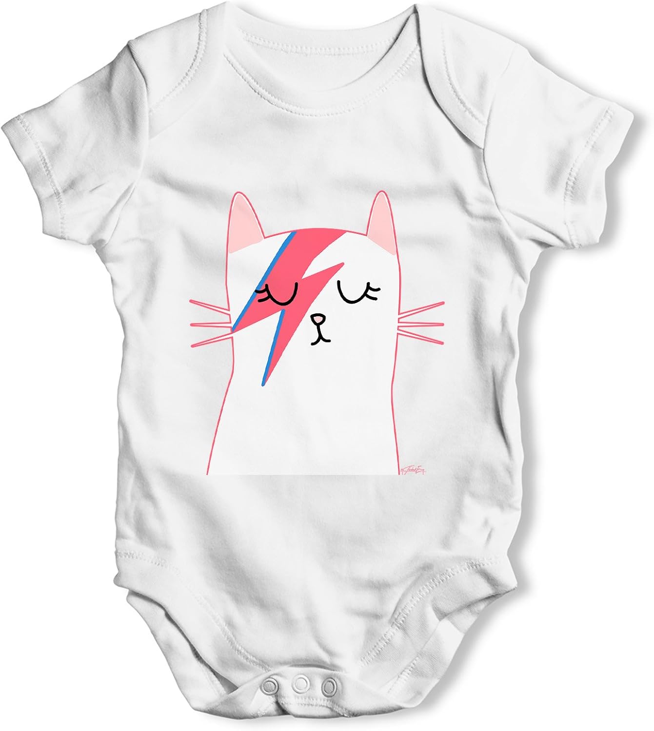 cat baby grow