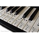 Music Keyboard for 61 KEY SET Piano learn to play faster LAMINATED clear plastic PS1C 61. 36 white keys stickers in a pack.