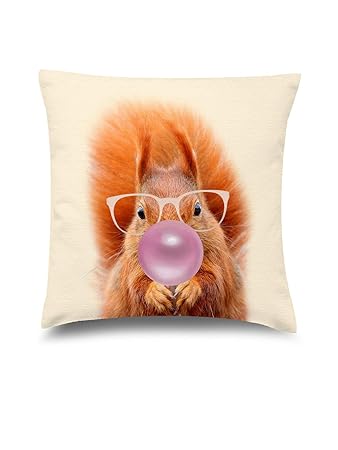 Amazon Com Vizor Kids Room Decorative Pillow Covers Squirrel