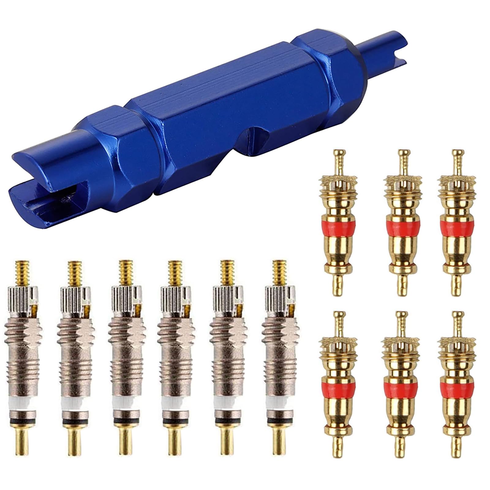 Valve Core Remover Tool Kit Bike, CTRICALVER Car Valve Core Repair Tool, with Brass Replacement Presta and Schrader Valve Core(13pcs)