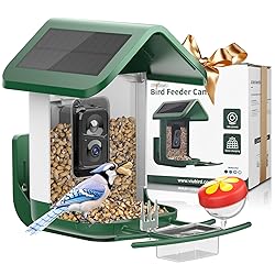 Viubird Bird Feeder with Camera Solar Powered