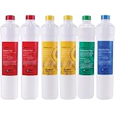Watts Premier RO Pure Annual Filtration Kit 6-Pack Of Necessary Filters | 2 Sediment Filters 2 Carbon Pre-Filters 1 Post-Filter 1 Membrane Push Button Release Design Fits Pure Zero/Pure Plus