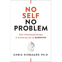No Self, No Problem: How Neuropsychology Is Catching Up to Buddhism book cover