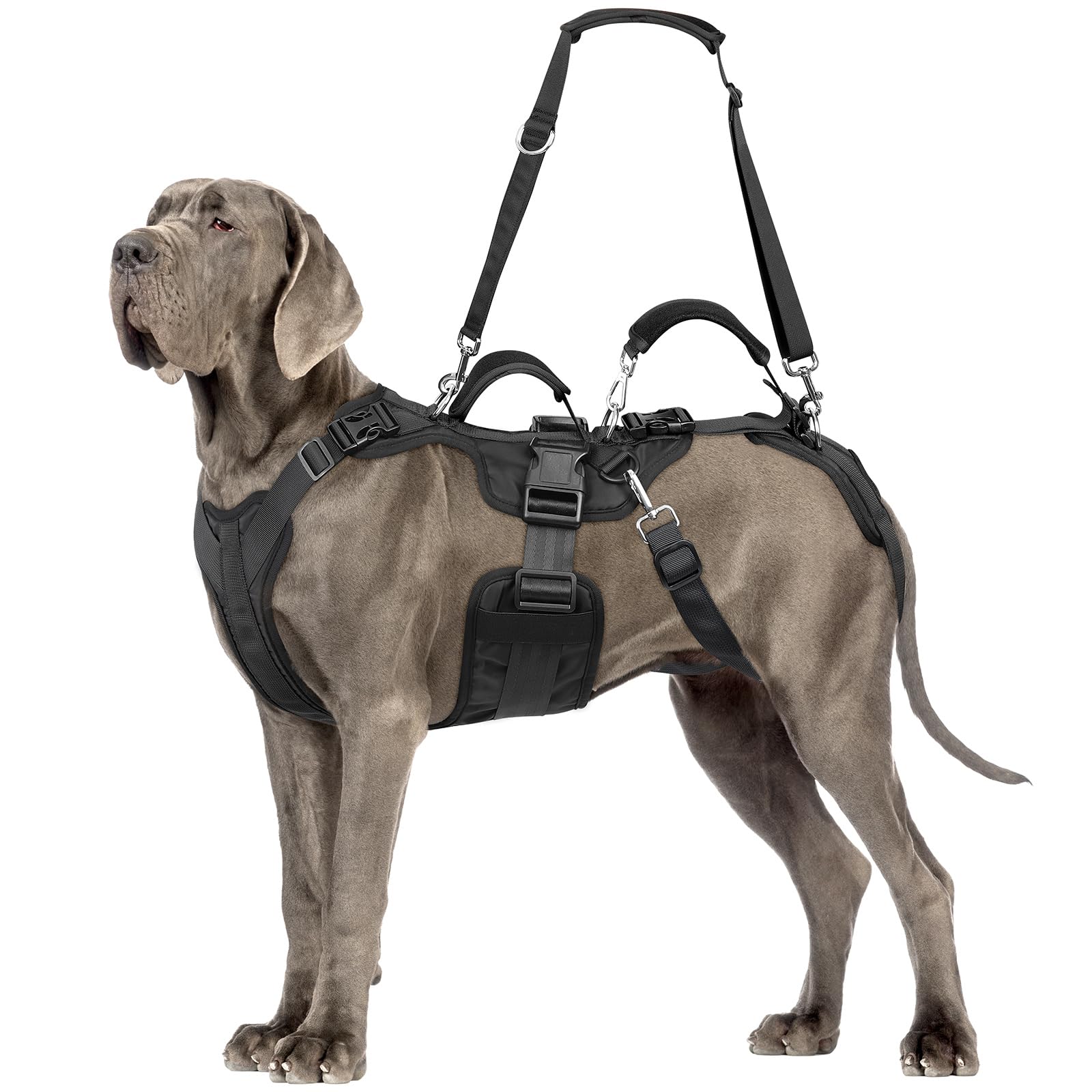 Photo 1 of Dog Lift Harness, Dog Support & Recovery Sling for Full-Body & Hind/Front Leg – Pee-Able Design for Large/Medium Dogs – All-in-One Ideal Assistance for Senior, Disabled, Arthritic & ACL Canines (XL)