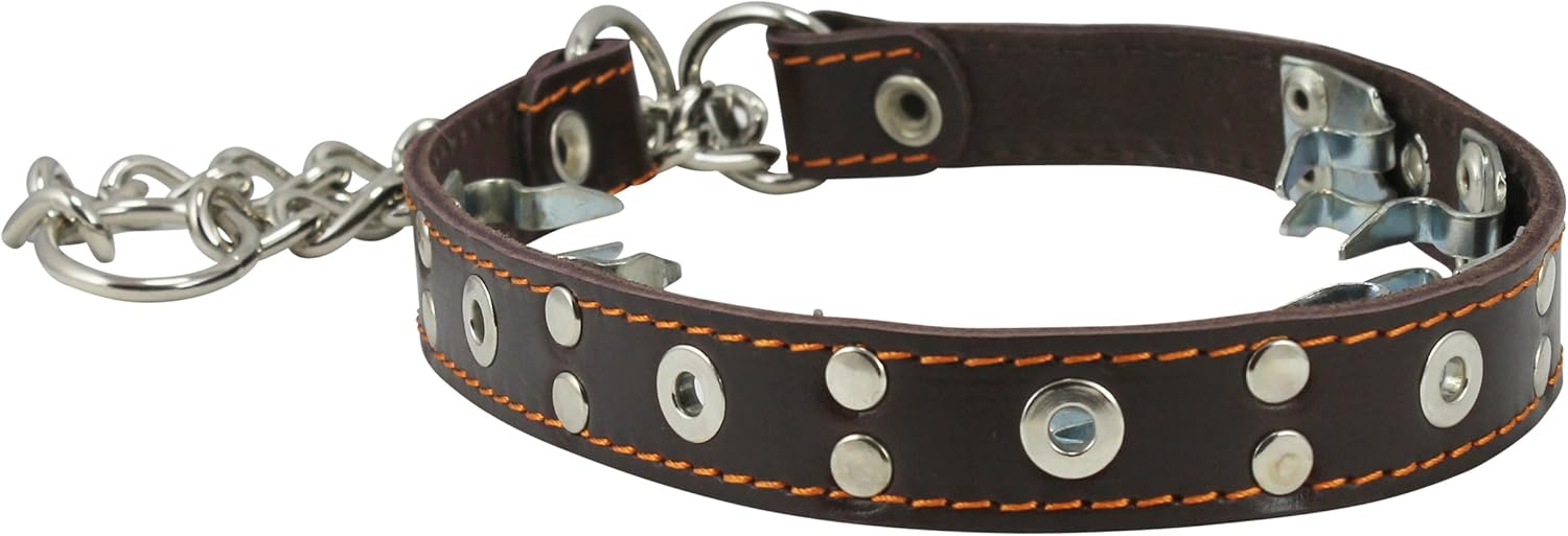 martingale pinch dog collar
