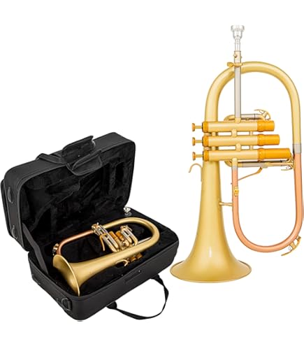 Amazon.com: B&S 3145 Challenger I Intermediate Bb Flugelhorn