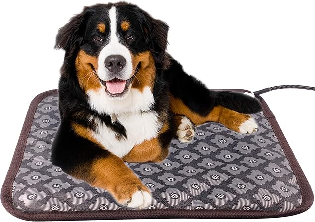 dog loves heating pad