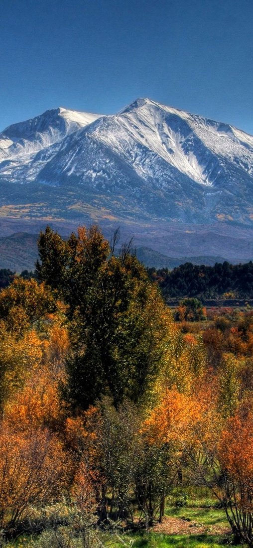 PeelitStickit, Beautiful Nature Wall Murals, ID-1905, vinyl