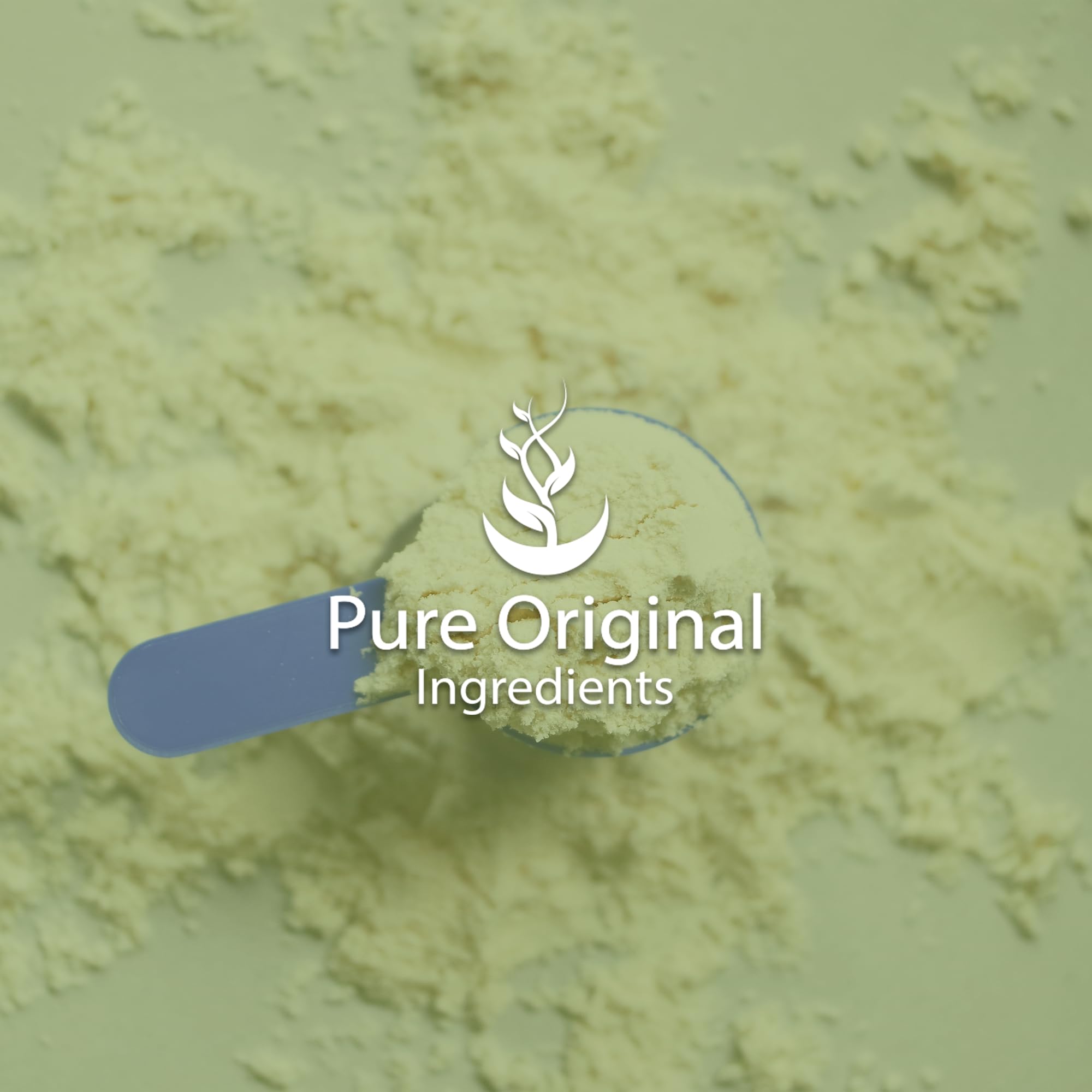 PURE ORIGINAL INGREDIENTS Zinc Gluconate (8 oz) Dietary Supplement, Always Pure, No Fillers Or Additives