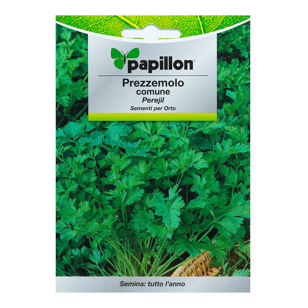 Semillas Perejil Comun (8 Gramos): Amazon.es: Jardín