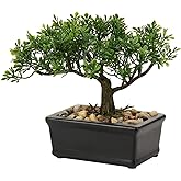 Artificial Bonsai Tree Juniper Faux Plants Indoor Small Fake Plants Decor with Ceramic Pots for Home Table Office Desk Bathroom Shelf Bedroom Living Room Farmhouse Decorations
