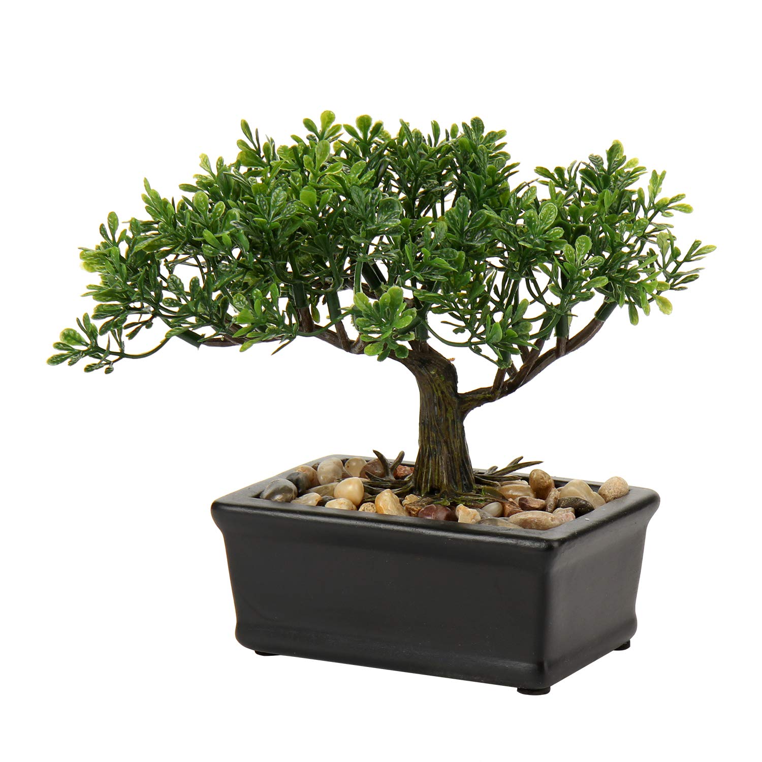 Hollyone Artificial Bonsai Tree - Indoor Plant, Japanese Podocarpus Decoration for Home and Desk