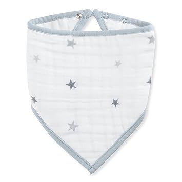 aden and anais bibs amazon