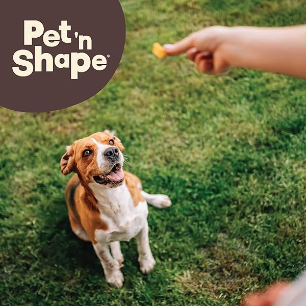 PET ‘N SHAPE DUCK BREAST JERKY DOG TREATS – 16 OUNCE