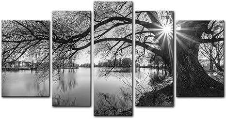 Amazon Com Black And White Tree 5 Pieces Modern Canvas Painting Wall Art The Picture For Home Decoration Black And White Silhouette In Sunrise Time Lake Landscape Print On Canvas Giclee Artwork For
