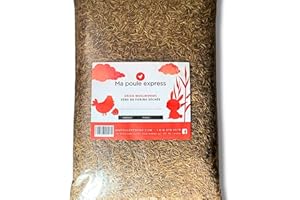 Dried Mealworms for Bird Poultry, 11 LB