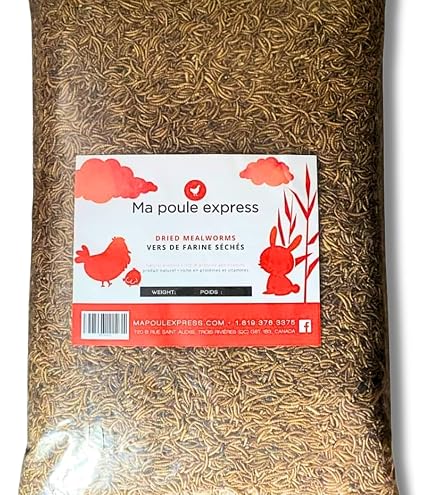 Our 10 Best Dried Black Soldier Fly In Canada - May 2025