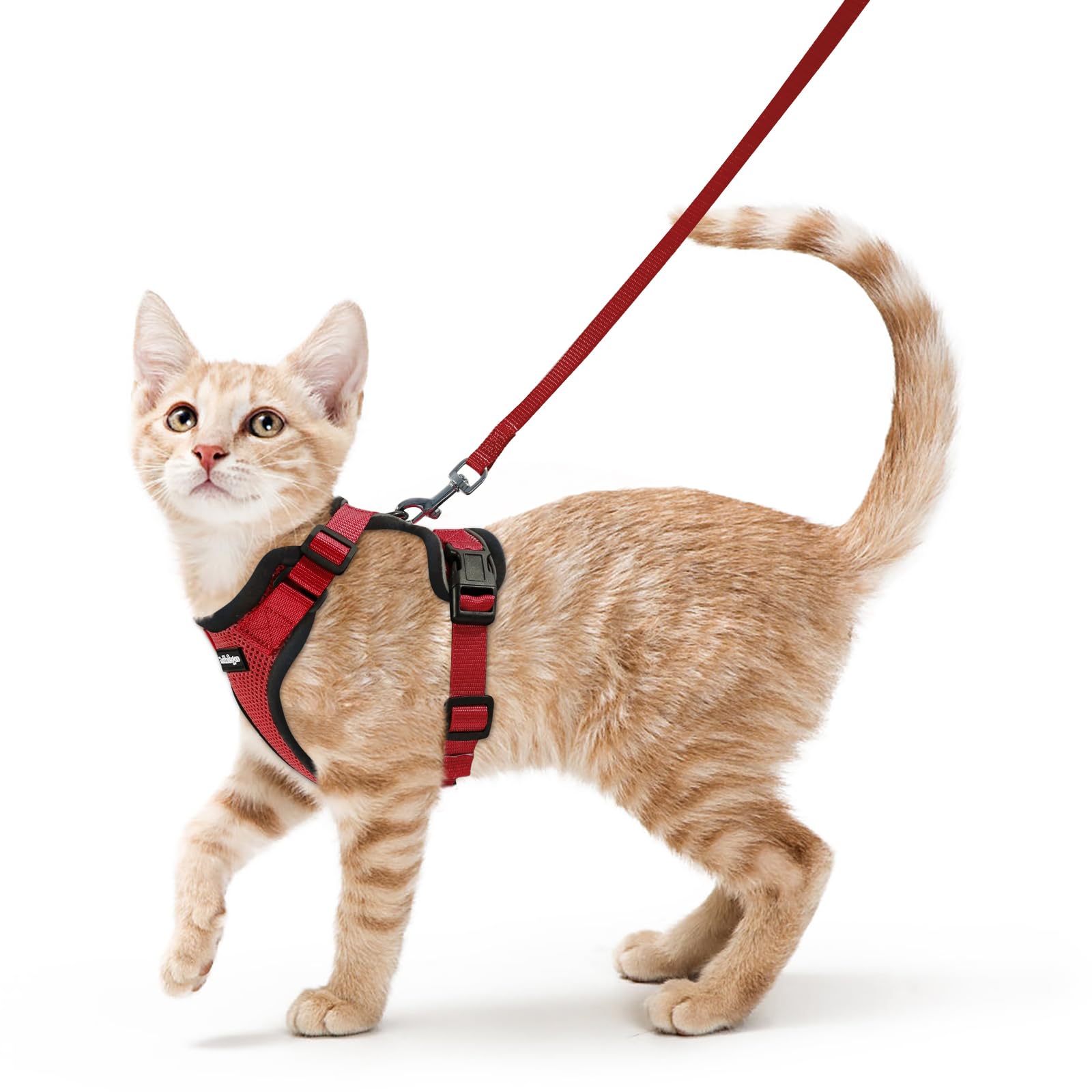 rabbitgoo Cat Harness and Lead Set, Escape Proof Kitten Harness with Leash, Metal Ring, Lightweight Soft, Reflective Adjustable Vest for Small Cat Walking Travel S (Pack of 1), Red