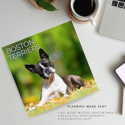 July 2025- December 2026 Wall Calendar 18 Month