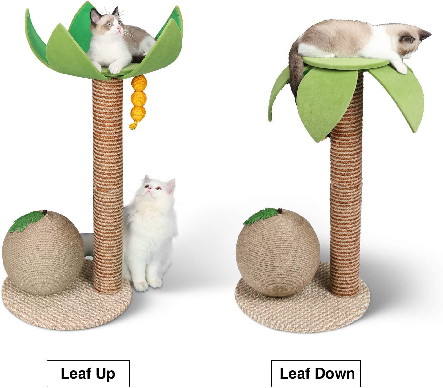 FUKUMARU Cat Tree with Perch for Large Cats, Modern Coconut Tree Cat Towers with Hammock, Small Cat Furniture with Scratching Post for Indoor Cats : Pet Supplies