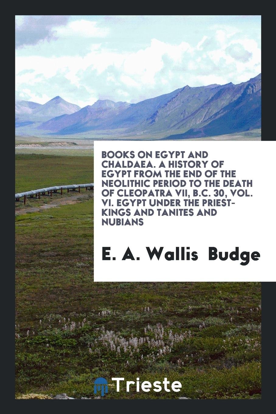 A History Of Egypt From The End Of The Neolithic Period To The Death Of Cleopatra Vii B C 30 Wallis Budge E A 9780649041640 Amazon Com Books