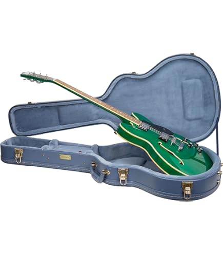 Amazon.com: Epiphone Case for Epiphone Dot, Sheraton, 335