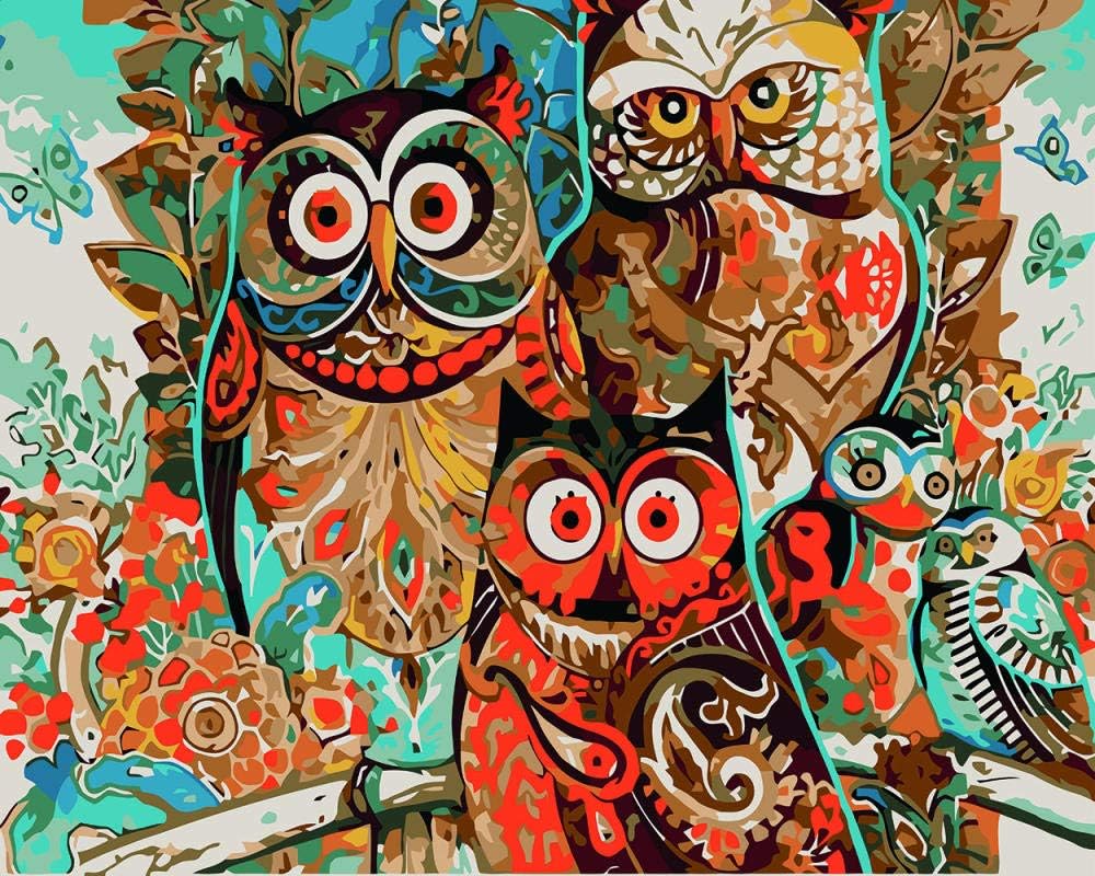 Amazon.com: Paint by Number Kits DIY Oil Painting Adults, Beginner to