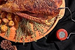 ThermoWorks DOT — Chefs’ Favorite Simple Alarm