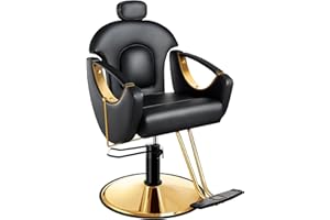 Baasha Ergonomic Reclining Hair Salon Chair, Gold Styling, Removable Headrest, 360 Swivel, Black