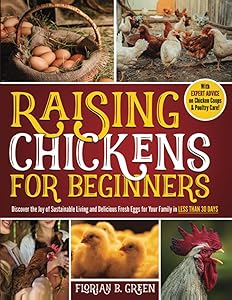 kindle best category lists