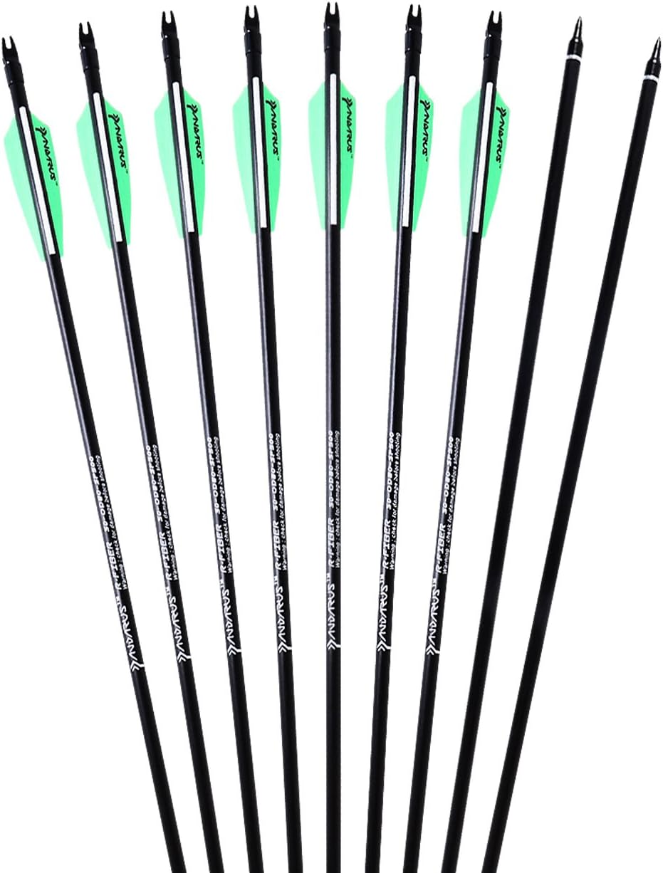 PANDARUS Archery 32inch 8mm Fiberglass Hunting Practice Arrows with Replaceable Arrowhead Spine 500 for Recure and Compound Bow Target (Pack of 12) : Sports & Outdoors