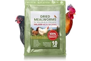 CHAIN & JO SWEETS Premium Non-GMO Dried Mealworms 10 lbs Bulk - Perfect Feed for Chickens, Reptiles, Tortoises, Lizards, Wild Birds, Ducks, Poultry and More! High Protein Treat for Happy and Healthy Pets and Livestock