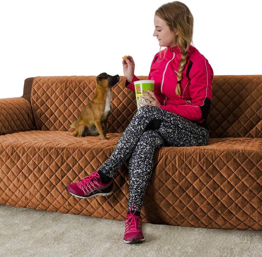 Best  Soda Maker Consumer Reports