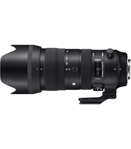 Amazon.com : Sigma 70-200mm f/2.8 APO EX DG HSM OS FLD Large 