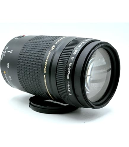 Amazon.com: Used Canon 75-300mm f4-5.6 II USM Lens : Electronics