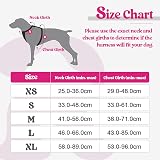 rabbitgoo Dog Harness Large No Pull Reflective with 2 Leash Clips Rose Red L view 2