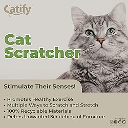 Best Pet Supplies Corrugated Cardboard Cat
