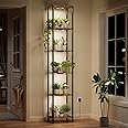 Bstrip Indoor Plant Shelf with Grow Light, 81.3" Tall, 6-Tier Stand, Full Spectrum Lighting for Growth, Metal Plant Rack Idea