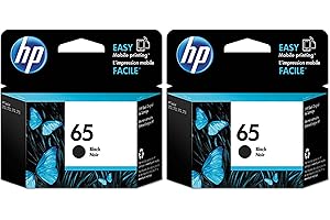 HP 65 Black Ink Cartridge, Works with AMP 100, DeskJet 2600, 3700; Envy 5000, Eligible for Instant Ink, N9K02AN (Pack of 2)
