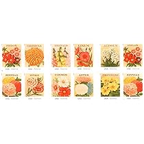 アンティーク・スタンプアルバム Amazon.com: Vintage Seed
