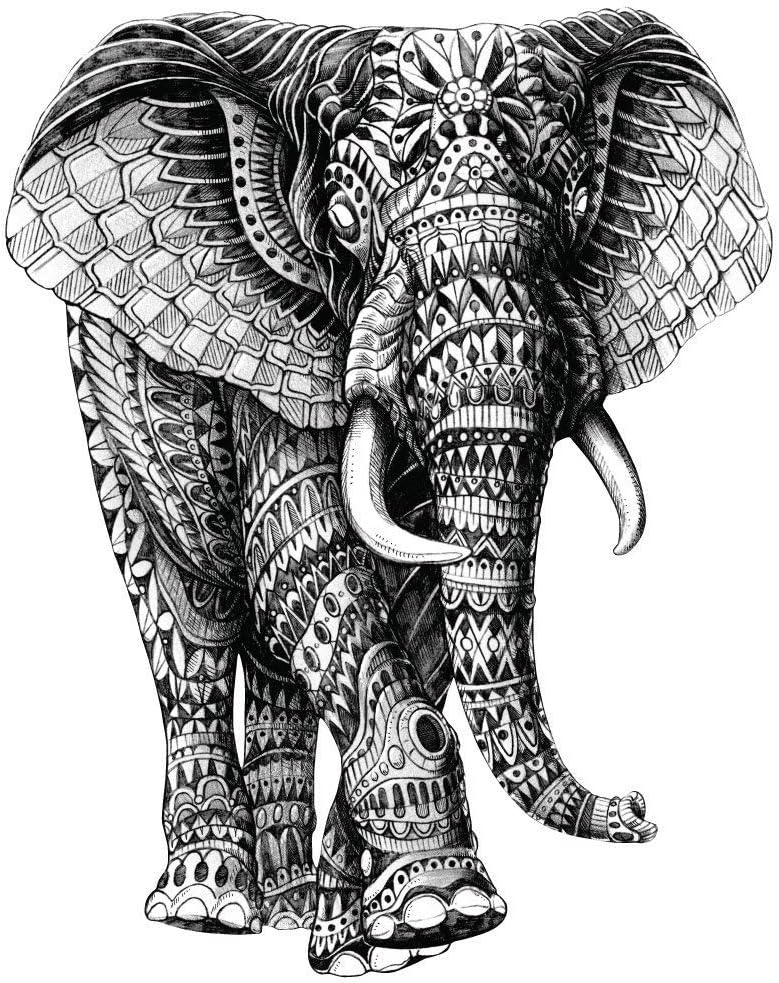 Amazon Com My Wonderful Walls Jungle Art Ornate Walking Elephant