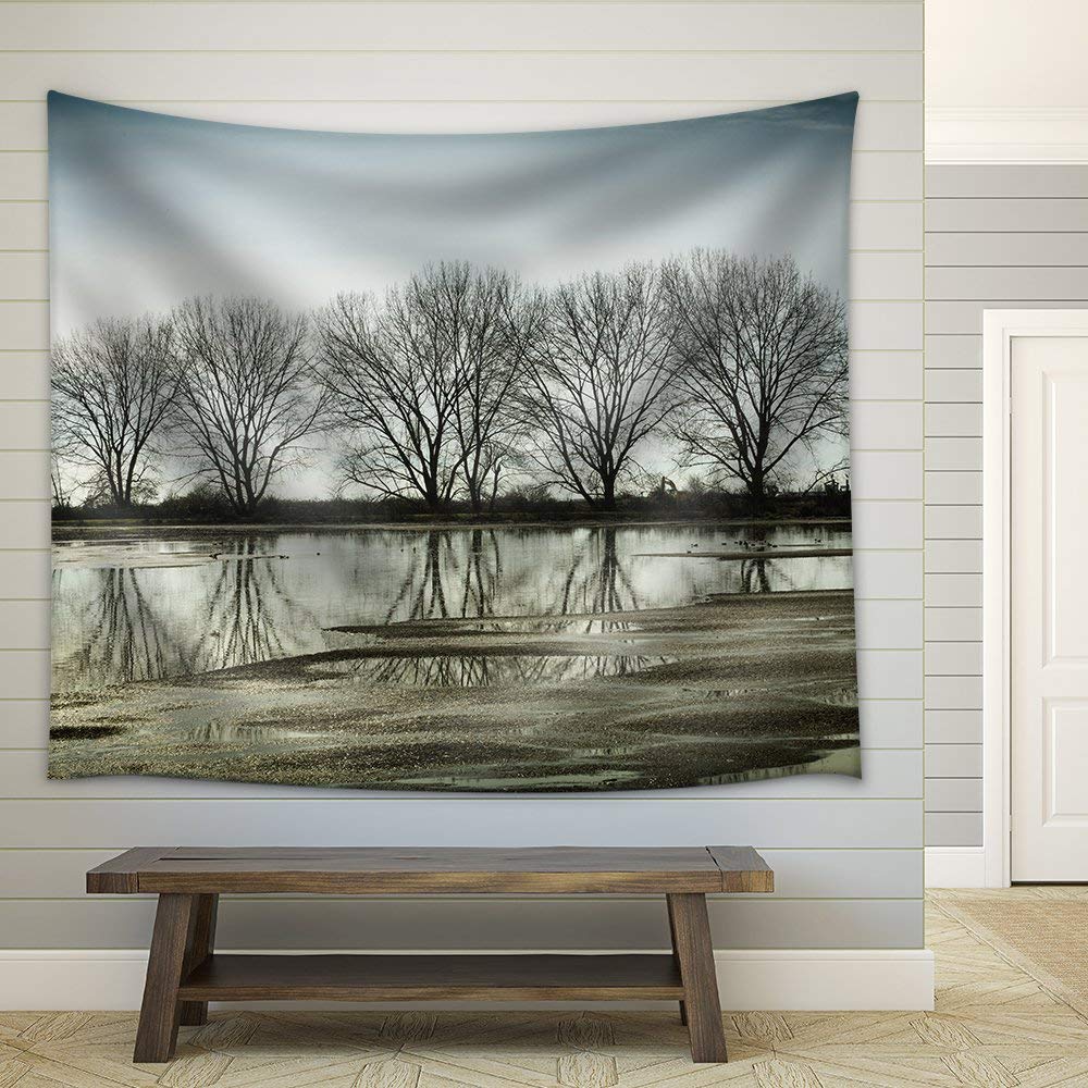 Amazon Com Ygyirri Tree Reflection In A Pond Vancouver Bc