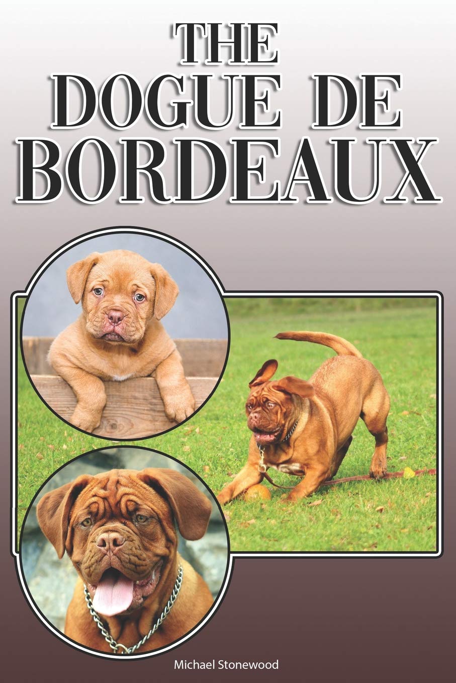 The Dogue De Bordeaux A Complete And Comprehensive Owners Guide To Buying Owning Health Grooming Training Obedience Understanding And Caring For Your Dogue De Bordeaux Stonewood Michael Amazon Com Books