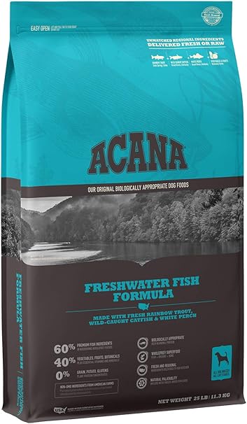 chocolate patterdale for sale