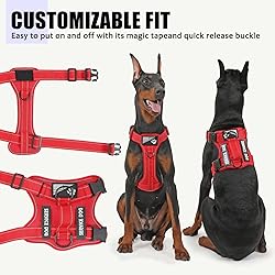 Demigreat Service Dog Harness, Reflective Dog Vest