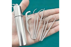 7Pcs Reusable Stainless Steel Toothpick Holders with Portable Storage Case,Multi-Functional Oral Care Cleaning Kit