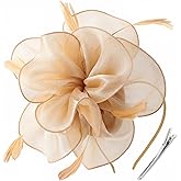 DRESHOW Fascinators Hat Tea Party Headwear Ribbons Feathers on a Headband and a Clip for Women